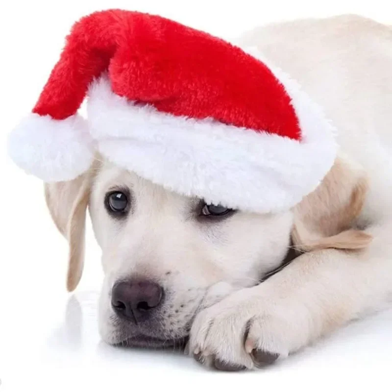 Cappello da Babbo Natale per a - Santa Hat Plush recensione e prezzo