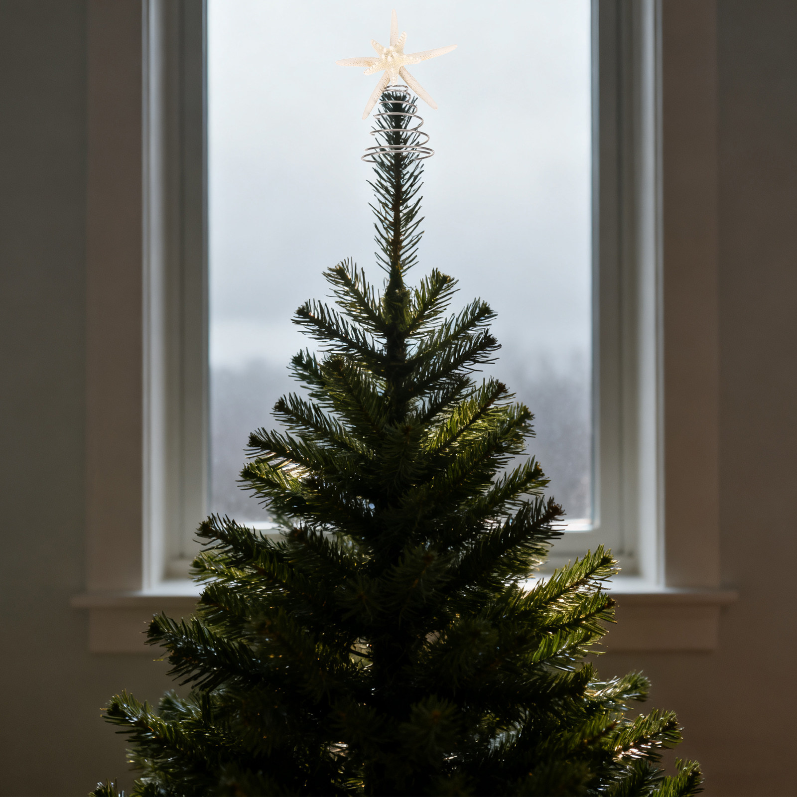 Decorazione per Albero di Nata - Star Tree Topper recensione e prezzo